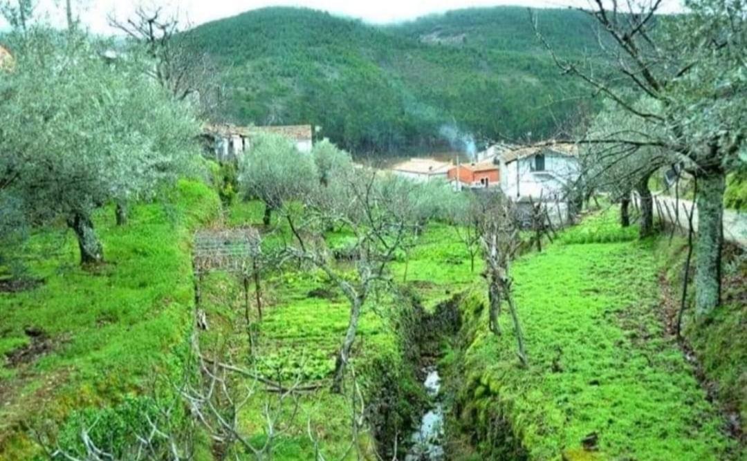 Hotel Rural Restaurante Cristania Caminomorisco Exterior foto